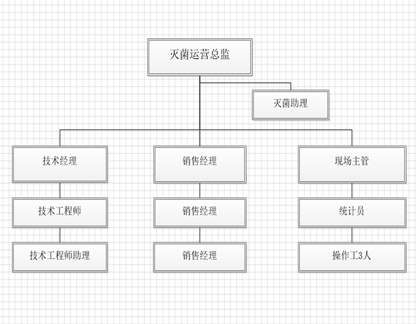 公司组织构架和团队